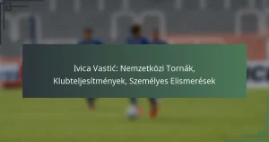 Ivica Vastić: Nemzetközi Tornák, Klubteljesítmények, Személyes Elismerések