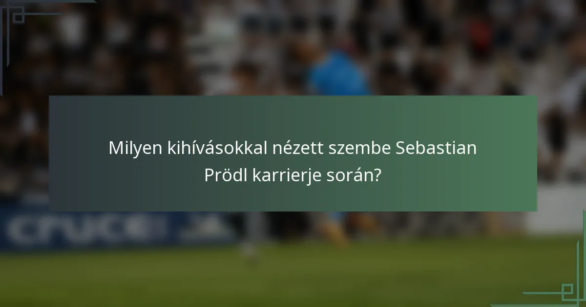 Milyen kihívásokkal nézett szembe Sebastian Prödl karrierje során?